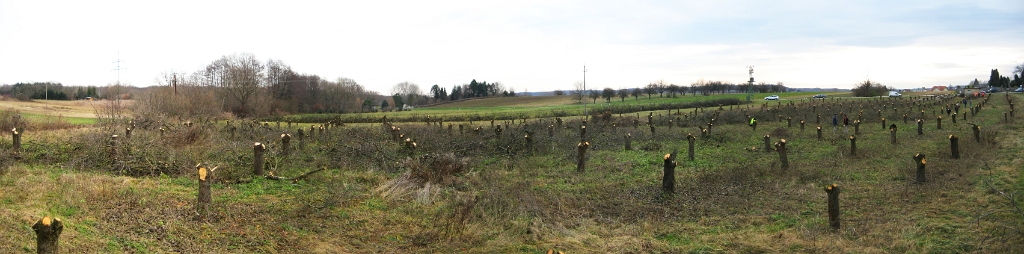 pano_01