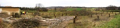 pano