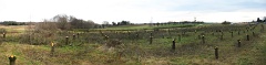 pano_01