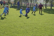 BILD_093