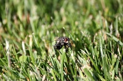 IMG_6863