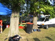 BILD0314