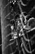 IMG_0756