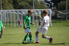 IMG_4190