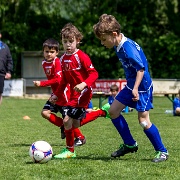 IMG_8282-42