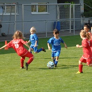 U7-Turnier_20160910_010