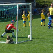 U7-Turnier_20160910_020