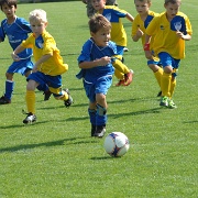 U7-Turnier_20160910_022