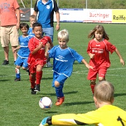U7-Turnier_20160910_026