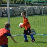 U7-Turnier_20160910_030