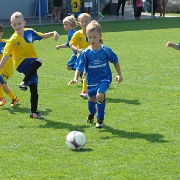 U7-Turnier_20160910_035