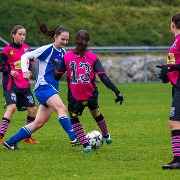 IMG_7428-33