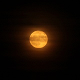 IMG_6496