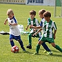 IMG_6045