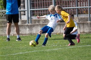 U8_Mattersburg_06042024_003