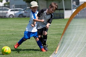 U6_Zemendorf_08062024_001