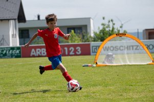 U8_Draßburg_18052024_001