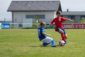 U8_Draßburg_18052024_004
