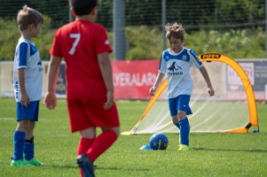 U8_Bad Sauerbrunn_11052024_011