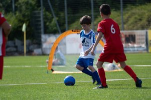 U8_Bad Sauerbrunn_11052024_012