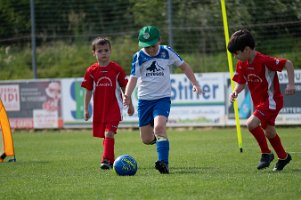 U8_Bad Sauerbrunn_11052024_017