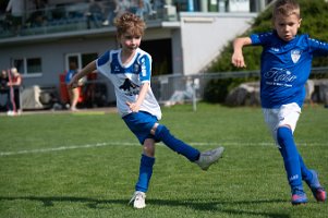 U8_Bad Sauerbrunn_11052024_021