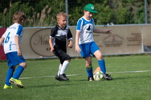 U8_Bad Sauerbrunn_11052024_025