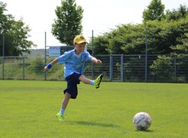20250629_100905_IMG_0846 k1