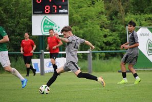 20250504_170820_IMG_2682 Krenn k1