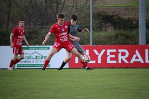 IMG_7191 Herzog