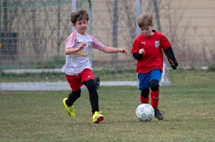 U9_Wr Neustadt_23032025_018