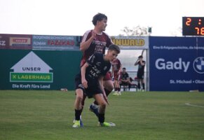 20260508_190738_IMG_9165 Drozd k1