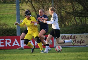 20260404_185623_IMG_3678 k1