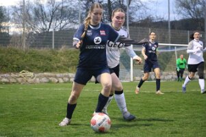 20260404_194225_IMG_3855 k1