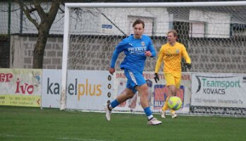 3 IMG_1254 Majnovics Stifter k1