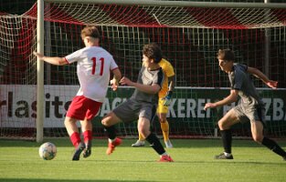20260605_193300_IMG_2300 Drozd k1
