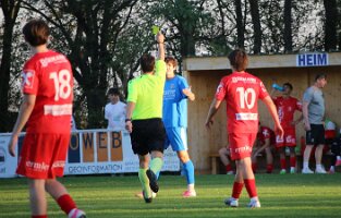 3 20261003_175056_IMG_2145 Lang gelb k1